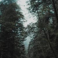 目中无鬼_民间鬼故事