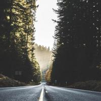 女生上厕所忘带了纸