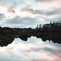 终究还是成了故人