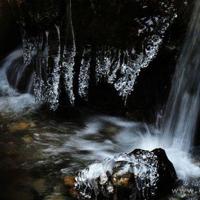 烦恼因所思陷入思考的我们