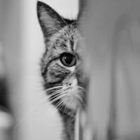 生活。艺术。哲理。