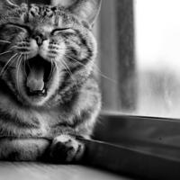 旅行，是心灵的阅读，而阅读，是心灵的旅行。