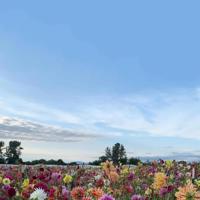 佛语的伤感句子大全_佛语一句话