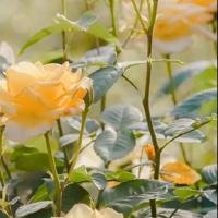 一个人品尝思念的味道