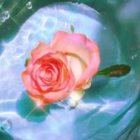 医学院的灵异故事