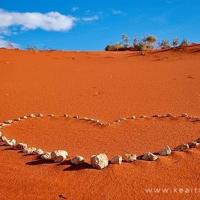 身在江南烟雨中