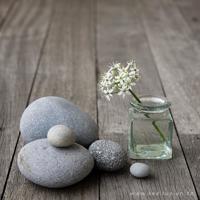 今宵梦回与君同