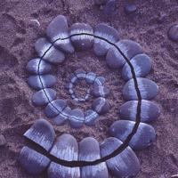 只若初见，何来悲画扇