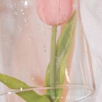 在夏日（组诗）