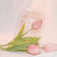 佛像有灵不可欺