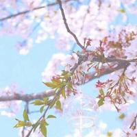 散文诗之茶香随风