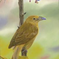 给生命一个微笑的理由 将岁月打磨