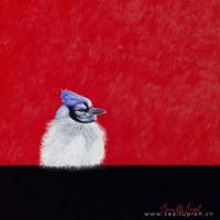 喂，你能猜猜我是谁