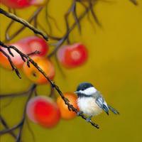 10位创业者口述裁员故事:对不起 等情况好了叫你回来