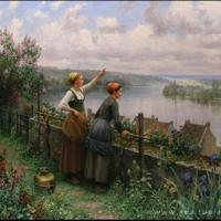 时光吹散了少年，谁的等待，恰逢花开