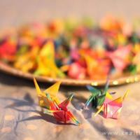 大炕上各弄各的 写作业时爸爸弄我的BB