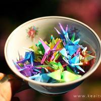 不合适的两个人，生活在一起的难度，大过再找一个。