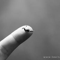 幸福是因为没有人受伤害