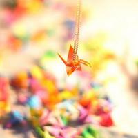 紫色意境图片_唯爱高贵的颜色紫色