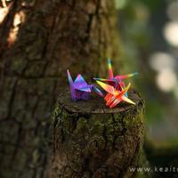 24小时持久呵护你的爱