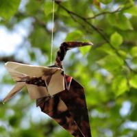 三个启示人生的故事