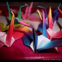 韩寒2011的经典语录 权力高于你尽全力捍卫的权利