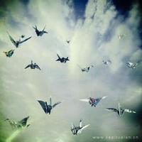 放手离开的句子说说心情伤感语录:真的喜欢与否,我们心里也都知道