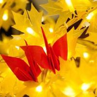 初夏的梅子坝散文