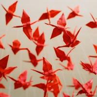 MM买裤子杀价的过程,超级搞笑