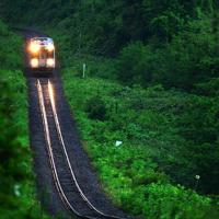 不是所有幸福都能熬出来