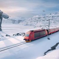 在思想的树林里流浪散文