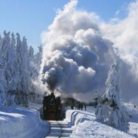 残雪【赤脚医生】-医学,长篇小说,现当代文学