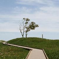 我们是夫妻，可以好好说话吗？