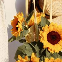 爱情不只是蕃茄炒蛋