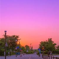 结婚十年才恍然大悟：“逃避”婆媳矛盾，何尝不是一种解脱