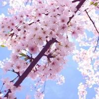 见死不救的老张