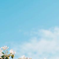 回首时，那一抹暖和的打动