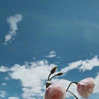 100句正能量的句子早安语录