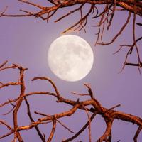 我们都可耻地成熟，变成从前自己讨厌的人了