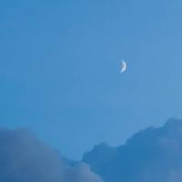 最经典的早安晚安励志语录分享