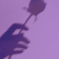 当关心和陪伴变成打扰，孤独就是救赎。