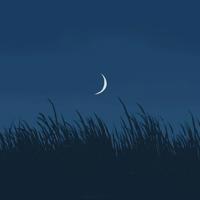 励志语录,正能量的话