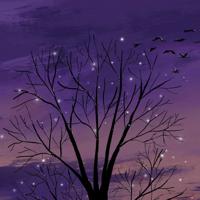 羡慕过,但不曾拥有过