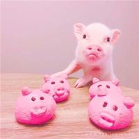 带着爱情去找你