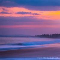 悠悠岁月情相思