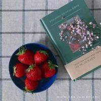 (校园爱情文章)如果我当时吻了她