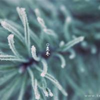 365个职业灵异故事:职业相扑手