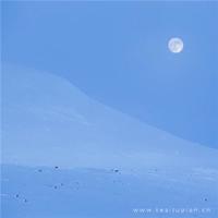 永远不要对爸妈说的10句话