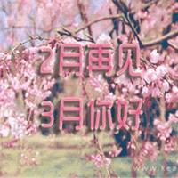 安东尼经典语录、兔子安东尼经典语录语句