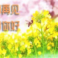 人生是一场苦旅，我们一边感受，一边修行。